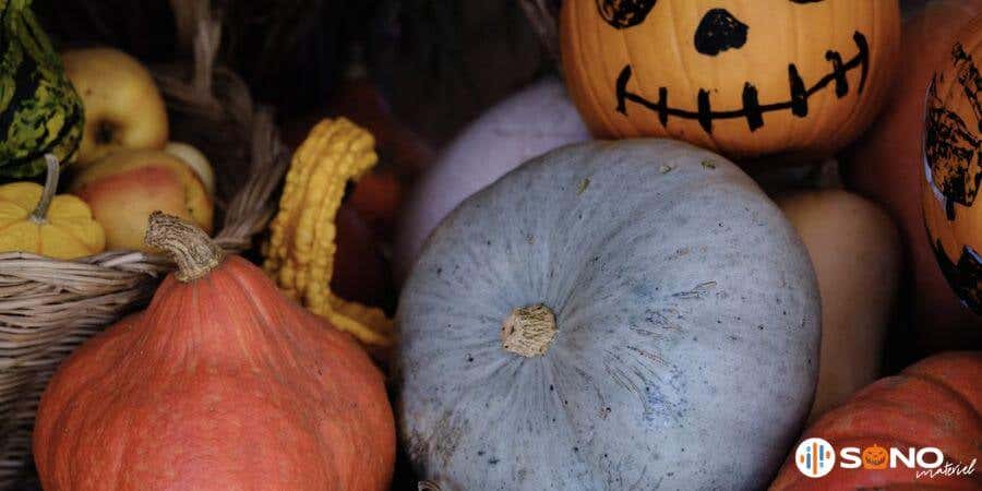 Quelles couleurs choisir pour Halloween ? Signification et inspirations déco