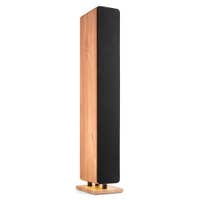 Audizio ARCO - Tour de Son Hi-Fi BT Chêne Clair 160W - Enceinte Colonne Active pour Salon, TV et Streaming. Disponible chez Sono Matériel - Vue 1