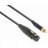 PD Connex Câble Audio Cordon Convertisseur XLR Femelle - RCA Mâle - 0,15m