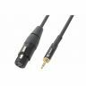 PD Connex Câble Audio Cordon XLR F/Jack 3,5 m Stéréo - 0,5m