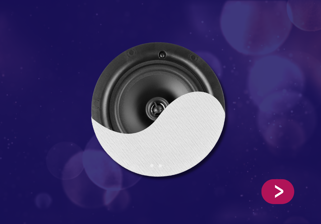 Enceintes Encastrables